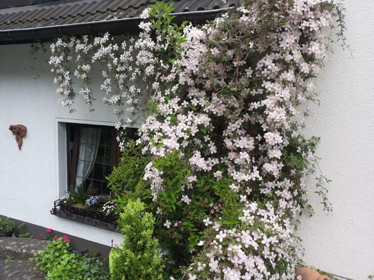 Gaestezimmer Am Huestert Adenau Exterior foto